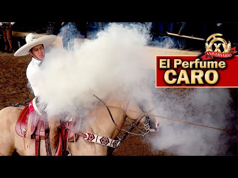 Piales - 2022 THV Millionaire Championship - Piales on the Canvas - September 3