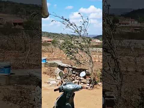 sitio cabeçudo de casserengue pb