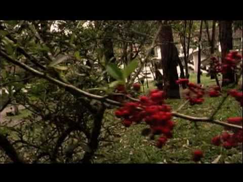 CAMINO VIEJO DUETO REMEMBRANZAS