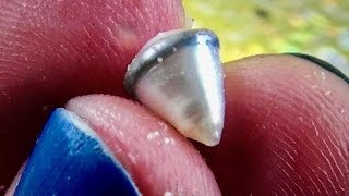 RARE PEARL FOUND IN OYSTER... NO IDEA WHAT IT IS....