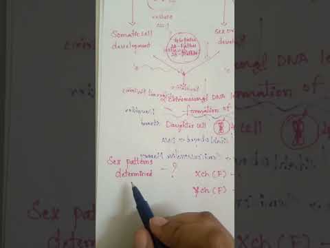 autosomes and allosomes🧬