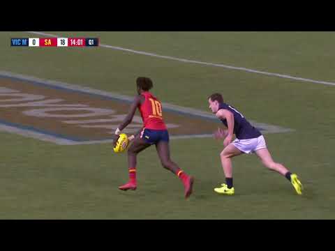 Martin Frederick highlights