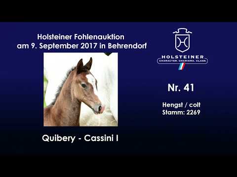 Nr. 41 v. Quibery - Cassini I