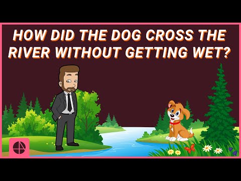 YouTube video about: How does a dog cross a river without getting wet?