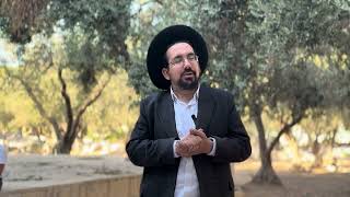 עיקר המלכת ה׳ בהר-הבית | הרב אליהו ובר (ישיבת הר הבית) - התמונה מוצגת ישירות מתוך אתר האינטרנט יוטיוב. זכויות היוצרים בתמונה שייכות ליוצרה. קישור קרדיט למקור התוכן נמצא בתוך דף הסרטון עיקר המלכת ה׳ בהר-הבית | הרב אליהו ובר (ישיבת הר הבית) - התמונה מוצגת ישירות מתוך אתר האינטרנט יוטיוב. זכויות היוצרים בתמונה שייכות ליוצרה. קישור קרדיט למקור התוכן נמצא בתוך דף הסרטון