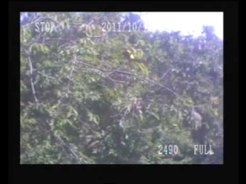 Oh what a tangled web we weave