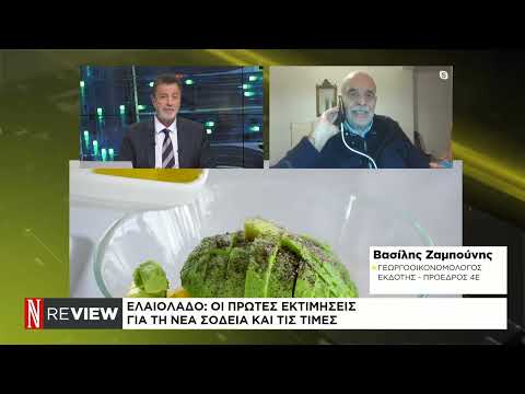 Ελαιόλαδο: Οι πρώτες εκτιμήσεις για τη νέα σοδειά και τις τιμές