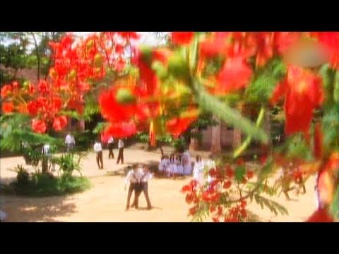 Thể hiện bởi Tú Quyên