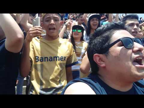"Pumas vs América 08/05/16 La Rebel el pumas no tiene mujer gol La copa libertadores es mi obsesión" Barra: La Rebel &bull; Club: Pumas