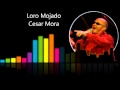 Loro Mojado - Cesar Mora