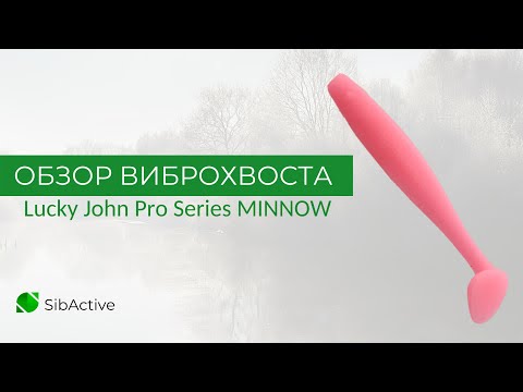 #F05