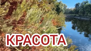 ПРИРОДА В ЗАПОРОЖЬЕ ДУБОВКА 4.10.26