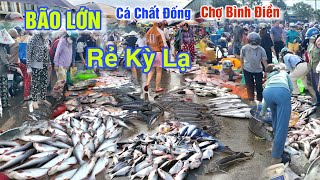 BÃO SỐ 10 ĐỔ BỘ HÀNG 1000 NGƯỜI ĐỔ XÔ ĐI MUA CÁ GIÁ RẺ KỲ LẠ Ở CHỢ BÌNH ĐIỀN