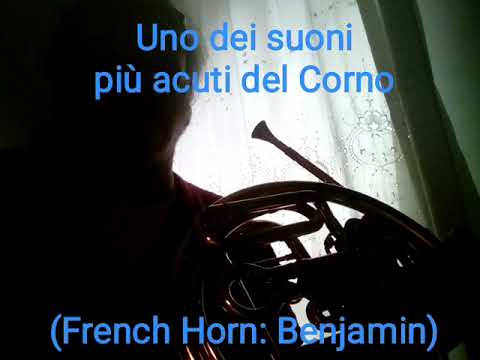 Corno francese: uno dei suoni più acuti (French Horn: Benjamin)