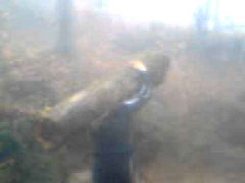 Munca la padure:Stiinta din floresti