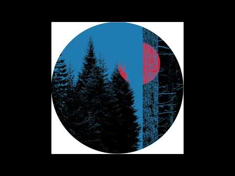 Anton Zap - 2 VCO (Original Mix) // IAL003