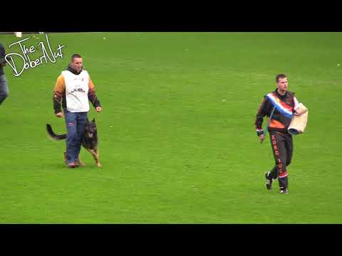 WUSV 2017 Marek Cerny Extreme Orex Aykmar Protection C 96pts