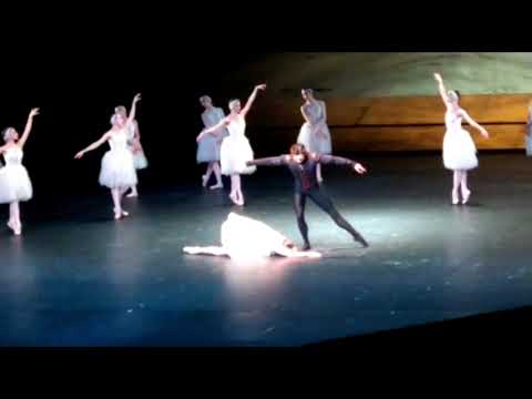 Swanlake Act 4- Prisca Zeisel, Jinhao Zhang & Emilio Pavan