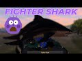 Fighter Shark Mission Fishing Planet Mini Grind