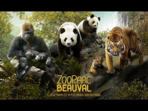 Zoo Parc de Beauval - Mai 2018