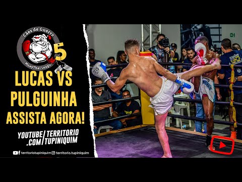 Alemãozinho vs Pulguinha - Cães de Guerra 5