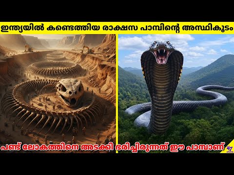 Vasuki Indicus: Prehistoric Monster Snake That Made Titanoboa Look Small | 47 ARENA