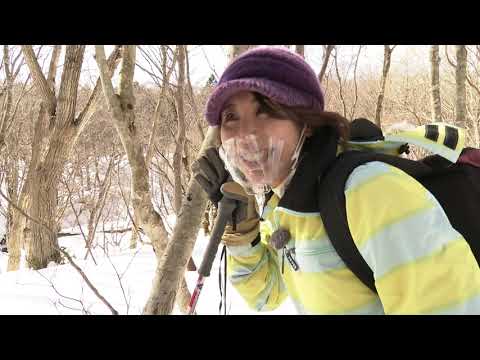 冬限定の景色へ！スノーシュー散策【ガイドさんと歩く大山旅】