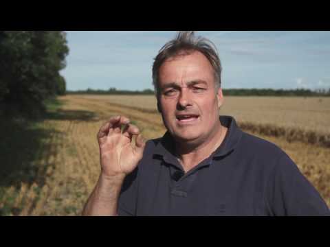 Sukup Europe / DanCorn  Silo / bin & stack dryer - Birkelse Hovedgård, JSJ Agro - English Speak