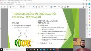 Fisiologia pós-colheita de frutas e hortaliças