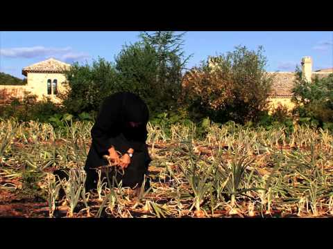 Pierre Rabhi, au nom de la terre [ Nour Films ]