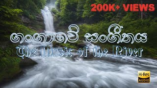 The music of the river  Gangaawe sangeethaya  HM K