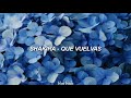 Que Vuelvas; Shakira // Letra
