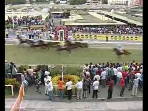 Season 2012 - Meeting 12 - Race 5 - Master Mascus - G. Faucon - iDates.mu - Turf Mauritius