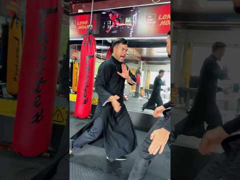 Fight applications breakdown Wing Chun dummy #martialarts #kungfu #masterphan #wingchun #mma #fight
