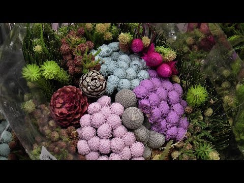 CNY flower market empowers single mothers