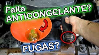 PORQUE mi AUTO consume ANTICONGELANTE y CUANDO hay que CAMBIARLO!