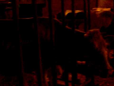 La Fattoria: Tv Sorrisi e Canzoni sbarca a Spoleto nella azienda Gasperini per un voto sul reality di Canale 5 condotto dalla Perego