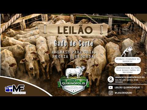 LEILÃO DO SINDICATO RURAL DE QUIRINÓPOLIS-GO - 09/04/2026