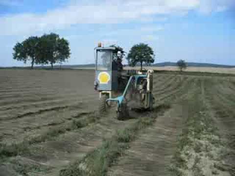 Poslední obracení lnu (2007) - AGRO Dolní Kralovice s.r.o.