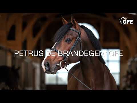 PETRUS DE BRANDEGEM*GFE 2022