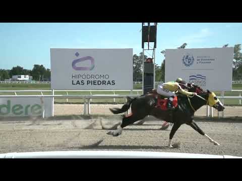 221111 c02 - POCA AGUA - HIPODROMO LAS PIEDRAS