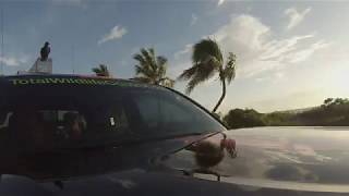 Iguanas Excluded 1 Ways Installed Cape coral Lizards  in Attic Eviction