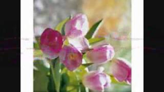 Kiss of heaven by Darlene Zschech with Lyrics.flv