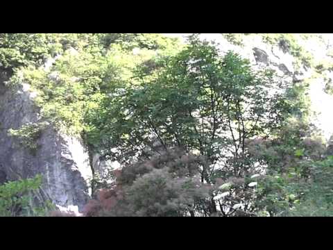 uau pe valea cernei.MOV