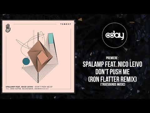 PREMIERE: Spalamp Feat. Nico Leivo - Don't Push Me (Ron Flatter Remix) [Truesounds Music]