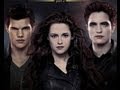 HARRY POTTER Vs TWILIGHT AMC Movie News