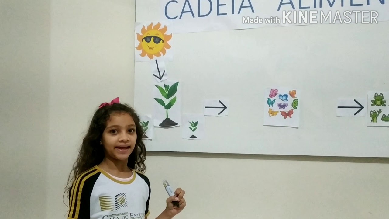 Cadeia alimentar