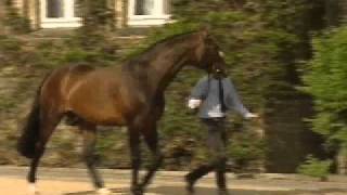 Video of Florestan I