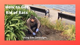 How to Get Rid of Rats Using The Giant Destroyer Gas Cartridge