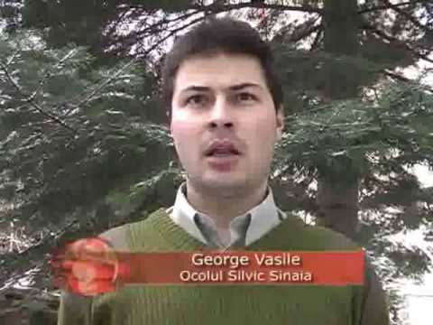 Hrana pentru animalele salbatice